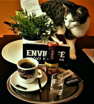 nápoj Ruské jitro a Sněhurka v Envi café